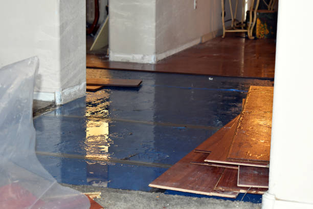 Professional Water Extraction technician working in Lewisville, OH